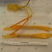 AMS-700 LGX Penile Implant